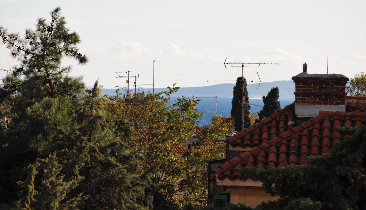 Antea Apartma *